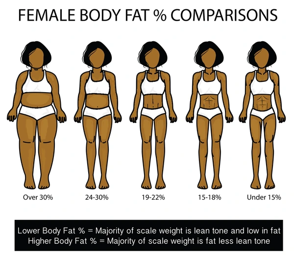 What Body Fat Percentage Do You Need to See Your Abs? A Guide for Men and Women